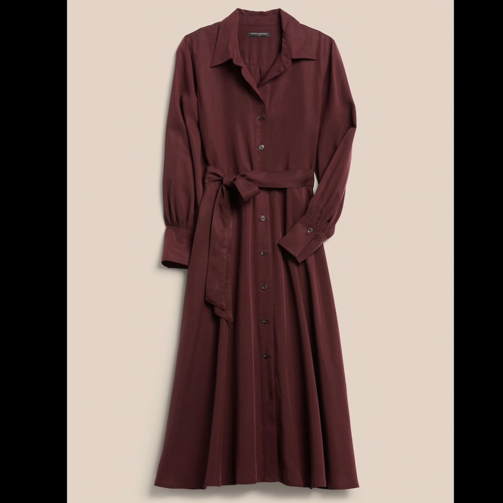 NWOT Banana Republic Belted Shirt Dress